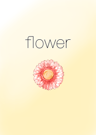 flower ガーベラ