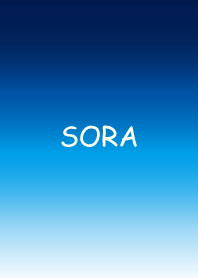 * SORA-1 *