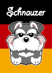 schnauzer