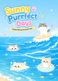 Sunny Purrfect Days