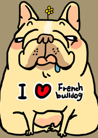 Half Sugar without ice frenchbulldog