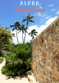 ALOHA Summer Ocean Lanikai 13