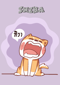 ทิวา ใครไม่บะ ชิบะ 4 V16