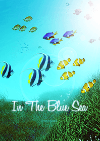 In The Blue Sea