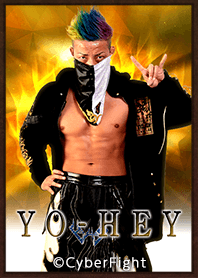 PRO WRESTLING NOAH YO-HEY