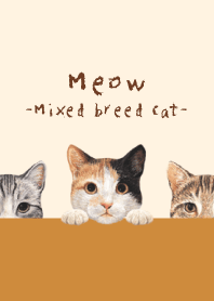 Meow -Mixed breed cat 01- AUTUMN COLORS