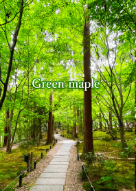 "Green maple vol.4" theme