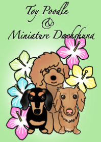 Guts & Chikuwa & Choco