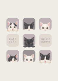 CATS - Mixed breed cat 02 - PURPLE GRAY