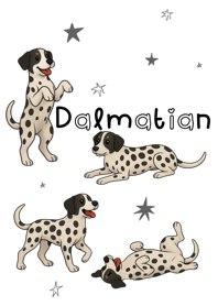 I love Dalmatians