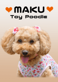 Toy Poodle -MAKU-