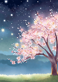 Beautiful night cherry blossoms#2781