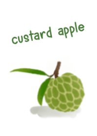 fruit : custard apple