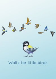 Waltz for little birds