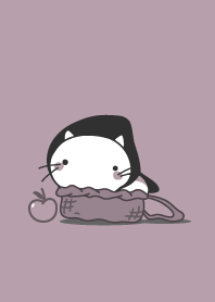 cat staring -7