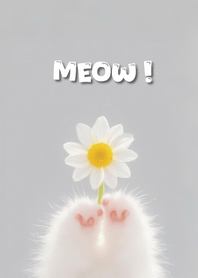 เหมียว เหมียว ธีมน่ารัก 70