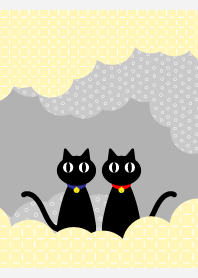 two cute cats on white