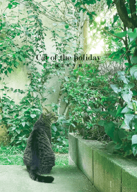 Cat of the holiday -GREEN- 11