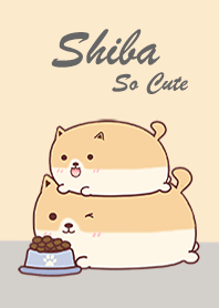 ชิบะน่ารัก