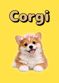 玩偶風柯基 2 Yellow 02