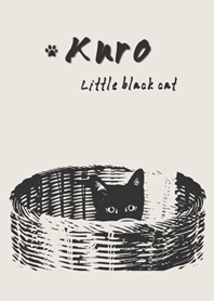 Kuro the little black cat