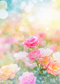 Beautiful rose flower(R2540)