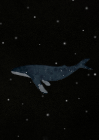 dreaming whale