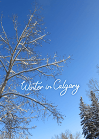 Winter in Calgary (31)