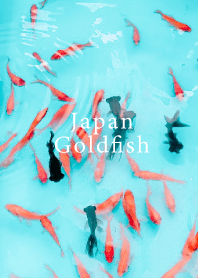 Japan_Goldfish