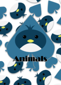 Animals -Penguin-