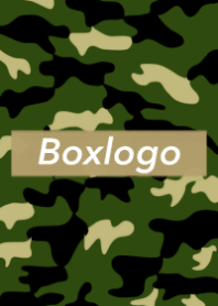 Box logo and Camouflage