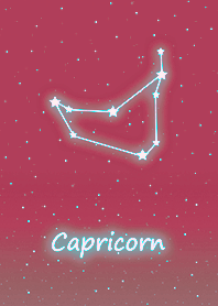 Wishing Constellation.Capricorn8