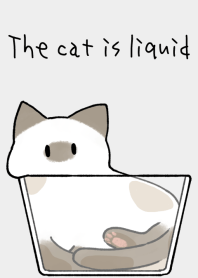 O gato é líquido [siamês]
