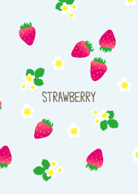 Strawberry Random6 from Japan