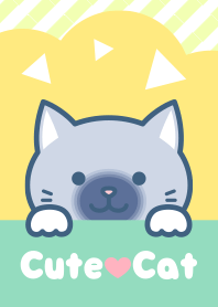 Cute cat(Pointed cat)