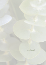 Natural Theme ver.Japan 5