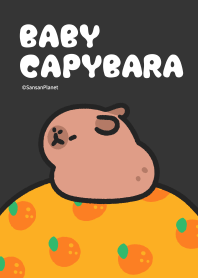 Sleep BabyCapybara Dark 2023 LET'S DRAW