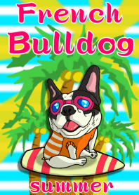 Summer of a French bulldog.