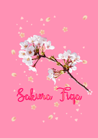 Sakura Fiqa