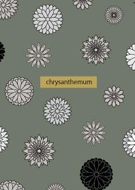 chic color chrysanthemum