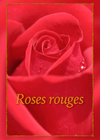 Roses rouges 〜真っ赤なバラ〜