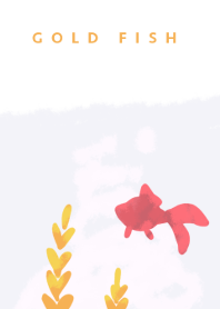 Red gold fish