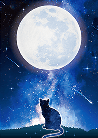 幸福を呼び込む✨満月とネコ