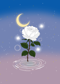 Rose Moon Wish (White)