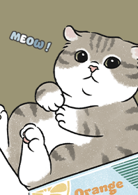 neko single14 / olive