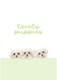 Lovely Puppies Light green and white