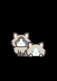 ラグドール＊ダークモード
