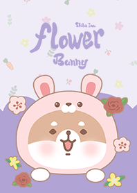 misty cat-(Shiba Inu)Flower Bunny purple