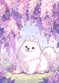 ⭐️ซาโมเยดใต้ต้นดอกวิสทีเรีย❤️