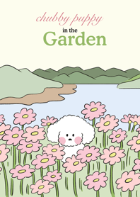 Chubby Puppy in the Garden :-p